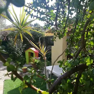 Sa Domu Antiga Сasa de vacaciones